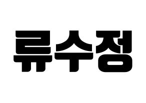 KPOP LOVELYZ(러블리즈、ラブリーズ) 수정 (スジョン) コンサート用　応援ボード・うちわ　韓国語/ハングル文字型紙 通常