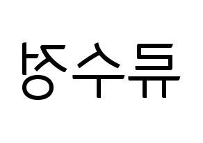 KPOP LOVELYZ(러블리즈、ラブリーズ) 수정 (スジョン) コンサート用　応援ボード・うちわ　韓国語/ハングル文字型紙 左右反転
