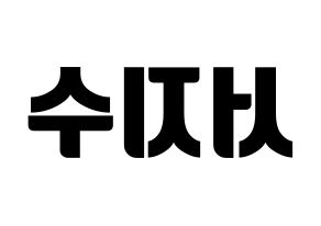 KPOP LOVELYZ(러블리즈、ラブリーズ) 지수 (ジス) コンサート用　応援ボード・うちわ　韓国語/ハングル文字型紙 左右反転