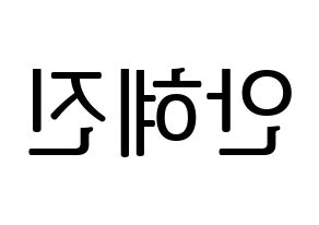KPOP Mamamoo(마마무、ママムー) 화사 (ファサ) プリント用応援ボード型紙、うちわ型紙　韓国語/ハングル文字型紙 左右反転