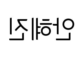 KPOP Mamamoo(마마무、ママムー) 화사 (ファサ) コンサート用　応援ボード・うちわ　韓国語/ハングル文字型紙 左右反転