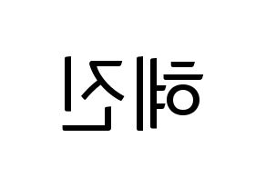 KPOP Mamamoo(마마무、ママムー) 화사 (ファサ) コンサート用　応援ボード・うちわ　韓国語/ハングル文字型紙 左右反転