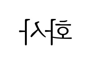 KPOP Mamamoo(마마무、ママムー) 화사 (ファサ) 応援ボード・うちわ　韓国語/ハングル文字型紙 左右反転