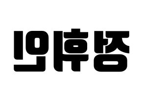 KPOP Mamamoo(마마무、ママムー) 휘인 (フィイン) コンサート用　応援ボード・うちわ　韓国語/ハングル文字型紙 左右反転