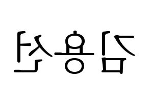 KPOP Mamamoo(마마무、ママムー) 솔라 (ソラ) 応援ボード・うちわ　韓国語/ハングル文字型紙 左右反転