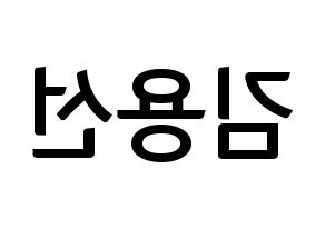 KPOP Mamamoo(마마무、ママムー) 솔라 (ソラ) k-pop アイドル名前 ファンサボード 型紙 左右反転