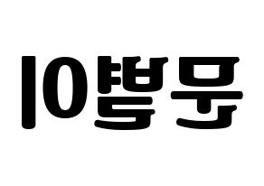 KPOP Mamamoo(마마무、ママムー) 문별 (ムンビョル) コンサート用　応援ボード・うちわ　韓国語/ハングル文字型紙 左右反転