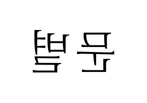 KPOP Mamamoo(마마무、ママムー) 문별 (ムンビョル) 応援ボード・うちわ　韓国語/ハングル文字型紙 左右反転
