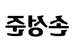 KPOP MCND(엠씨엔디、エムシーエヌディー) 캐슬제이 (キャッスルジェイ) コンサート用　応援ボード・うちわ　韓国語/ハングル文字型紙 左右反転