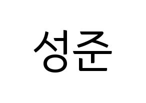 KPOP MCND(엠씨엔디、エムシーエヌディー) 캐슬제이 (キャッスルジェイ) コンサート用　応援ボード・うちわ　韓国語/ハングル文字型紙 通常