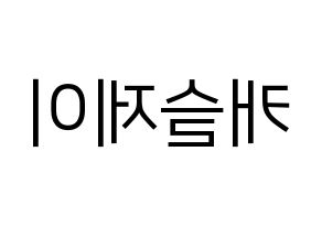 KPOP MCND(엠씨엔디、エムシーエヌディー) 캐슬제이 (キャッスルジェイ) プリント用応援ボード型紙、うちわ型紙　韓国語/ハングル文字型紙 左右反転