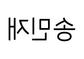 KPOP MCND(엠씨엔디、エムシーエヌディー) 민재 (ミンジェ) コンサート用　応援ボード・うちわ　韓国語/ハングル文字型紙 左右反転