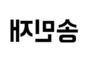 KPOP MCND(엠씨엔디、エムシーエヌディー) 민재 (ミンジェ) k-pop アイドル名前 ファンサボード 型紙 左右反転