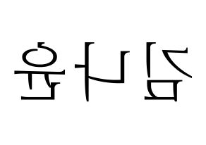 KPOP MOMOLAND(모모랜드、モモランド) 나윤 (ナユン) 応援ボード・うちわ　韓国語/ハングル文字型紙 左右反転