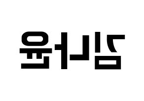KPOP MOMOLAND(모모랜드、モモランド) 나윤 (ナユン) k-pop アイドル名前 ファンサボード 型紙 左右反転