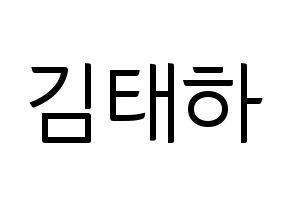 KPOP MOMOLAND(모모랜드、モモランド) 태하 (テハ) コンサート用　応援ボード・うちわ　韓国語/ハングル文字型紙 通常