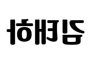 KPOP MOMOLAND(모모랜드、モモランド) 태하 (テハ) コンサート用　応援ボード・うちわ　韓国語/ハングル文字型紙 左右反転