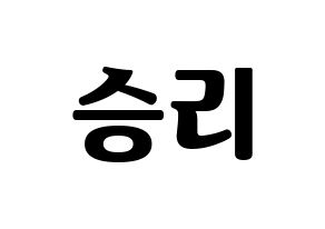 KPOP MOMOLAND(모모랜드、モモランド) 낸시 (ナンシー) コンサート用　応援ボード・うちわ　韓国語/ハングル文字型紙 通常