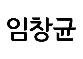 KPOP MONSTA X(몬스타엑스、モンスタ・エックス) 아이엠 (アイ・エム) k-pop アイドル名前 ファンサボード 型紙 通常