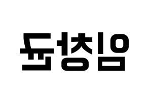 KPOP MONSTA X(몬스타엑스、モンスタ・エックス) 아이엠 (アイ・エム) k-pop アイドル名前 ファンサボード 型紙 左右反転