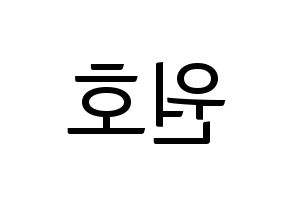 KPOP MONSTA X(몬스타엑스、モンスタ・エックス) 원호 (ウォノ) コンサート用　応援ボード・うちわ　韓国語/ハングル文字型紙 左右反転