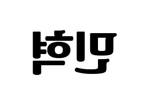 KPOP MONSTA X(몬스타엑스、モンスタ・エックス) 민혁 (ミニョク) コンサート用　応援ボード・うちわ　韓国語/ハングル文字型紙 左右反転
