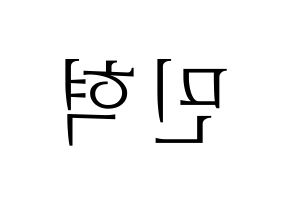 KPOP MONSTA X(몬스타엑스、モンスタ・エックス) 민혁 (ミニョク) 応援ボード・うちわ　韓国語/ハングル文字型紙 左右反転