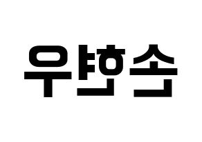 KPOP MONSTA X(몬스타엑스、モンスタ・エックス) 셔누 (ショヌ) k-pop アイドル名前 ファンサボード 型紙 左右反転