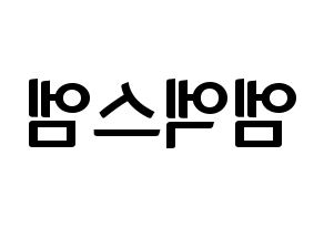 KPOP MXM(엠엑스엠、エムエックスエム) k-pop ファンサ ボード 型紙 左右反転