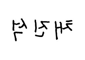 KPOP MYNAME(마이네임、マイネーム) 채진 (チェジン) k-pop アイドル名前 ファンサボード 型紙 左右反転