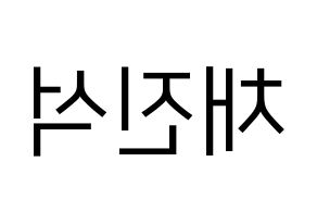 KPOP MYNAME(마이네임、マイネーム) 채진 (チェジン) プリント用応援ボード型紙、うちわ型紙　韓国語/ハングル文字型紙 左右反転