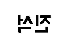 KPOP MYNAME(마이네임、マイネーム) 채진 (チェジン) k-pop アイドル名前 ファンサボード 型紙 左右反転