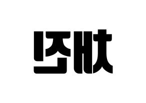 KPOP MYNAME(마이네임、マイネーム) 채진 (チェジン) コンサート用　応援ボード・うちわ　韓国語/ハングル文字型紙 左右反転