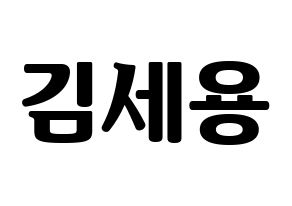 KPOP MYNAME(마이네임、マイネーム) 세용 (セヨン) コンサート用　応援ボード・うちわ　韓国語/ハングル文字型紙 通常