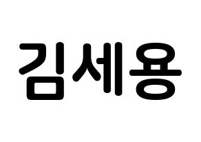 KPOP MYNAME(마이네임、マイネーム) 세용 (キム・セヨン, セヨン) k-pop アイドル名前　ボード 言葉 通常