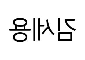 KPOP MYNAME(마이네임、マイネーム) 세용 (セヨン) コンサート用　応援ボード・うちわ　韓国語/ハングル文字型紙 左右反転