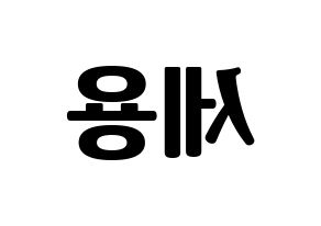 KPOP MYNAME(마이네임、マイネーム) 세용 (セヨン) コンサート用　応援ボード・うちわ　韓国語/ハングル文字型紙 左右反転