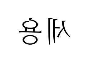KPOP MYNAME(마이네임、マイネーム) 세용 (セヨン) 応援ボード・うちわ　韓国語/ハングル文字型紙 左右反転