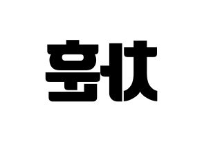KPOP N.Flying(엔플라잉、エヌフライング) 차훈 (チャフン) コンサート用　応援ボード・うちわ　韓国語/ハングル文字型紙 左右反転
