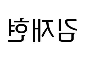 KPOP N.Flying(엔플라잉、エヌフライング) 김재현 (ジェヒョン) プリント用応援ボード型紙、うちわ型紙　韓国語/ハングル文字型紙 左右反転