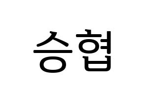 KPOP N.Flying(엔플라잉、エヌフライング) 이승협 (スンヒョプ) プリント用応援ボード型紙、うちわ型紙　韓国語/ハングル文字型紙 通常