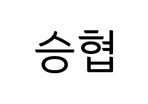 KPOP N.Flying(엔플라잉、エヌフライング) 이승협 (スンヒョプ) コンサート用　応援ボード・うちわ　韓国語/ハングル文字型紙 通常