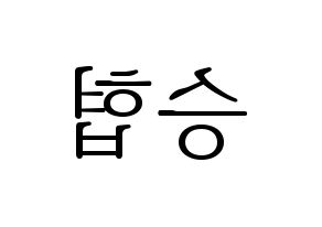 KPOP N.Flying(엔플라잉、エヌフライング) 이승협 (スンヒョプ) 応援ボード・うちわ　韓国語/ハングル文字型紙 左右反転