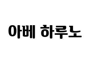KPOP NATURE(네이처、ネイチャー) 하루 (ハル) コンサート用　応援ボード・うちわ　韓国語/ハングル文字型紙 通常