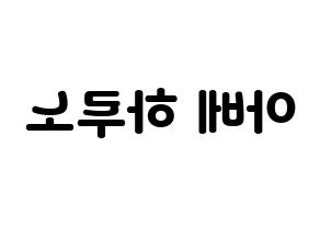 KPOP NATURE(네이처、ネイチャー) 하루 (ハル) 応援ボード・うちわ　韓国語/ハングル文字型紙 左右反転