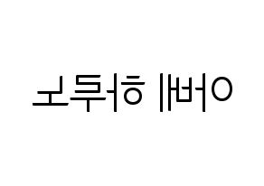 KPOP NATURE(네이처、ネイチャー) 하루 (ハル) コンサート用　応援ボード・うちわ　韓国語/ハングル文字型紙 左右反転