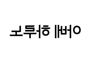 KPOP NATURE(네이처、ネイチャー) 하루 (ハル) k-pop アイドル名前 ファンサボード 型紙 左右反転