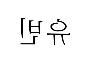 KPOP NATURE(네이처、ネイチャー) 채빈 (チェビン) 応援ボード・うちわ　韓国語/ハングル文字型紙 左右反転