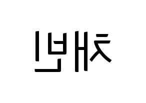 KPOP NATURE(네이처、ネイチャー) 채빈 (チェビン) コンサート用　応援ボード・うちわ　韓国語/ハングル文字型紙 左右反転