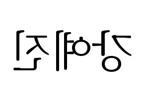 KPOP NATURE(네이처、ネイチャー) 로하 (ロハ) 応援ボード・うちわ　韓国語/ハングル文字型紙 左右反転